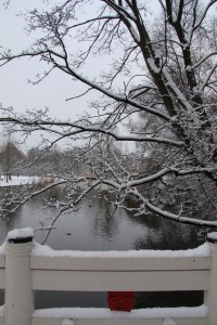 Amsterdam, Oosterpark