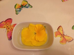 bijzondere ontmoeting